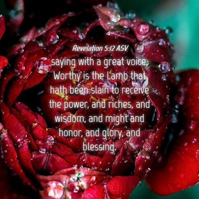 Picture 04 - Revelation 5:12 ASV - saying with a great voice, Worthy is the Lamb - Bible Verse Picture