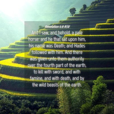 Picture 04 - Revelation 6:8 ASV - And I saw, and behold, a pale horse: and he that - Bible Verse Picture
