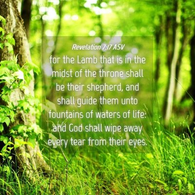 Picture 04 - Revelation 7:17 ASV - for the Lamb that is in the midst of the throne - Bible Verse Picture