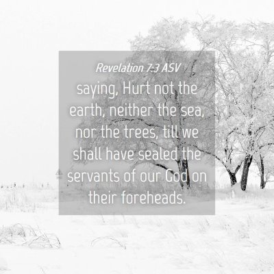 Picture 04 - Revelation 7:3 ASV - saying, Hurt not the earth, neither the sea, nor - Bible Verse Picture