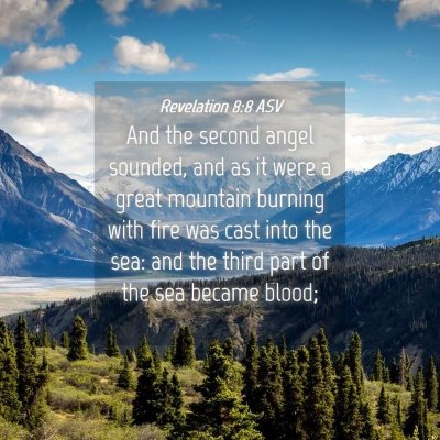 Picture 04 - Revelation 8:8 ASV - And the second angel sounded, and as it were a - Bible Verse Picture