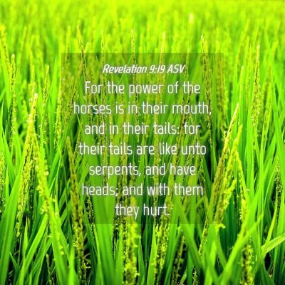 Picture 04 - Revelation 9:19 ASV - For the power of the horses is in their mouth, - Bible Verse Picture