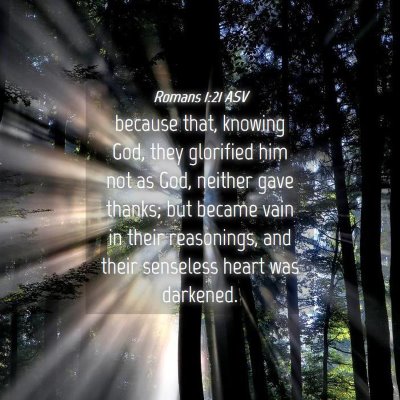 Picture 04 - Romans 1:21 ASV - because that, knowing God, they glorified him not - Bible Verse Picture