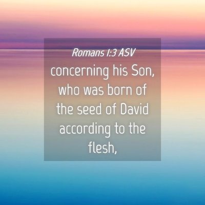 Picture 04 - Romans 1:3 ASV - concerning his Son, who was born of the seed of - Bible Verse Picture