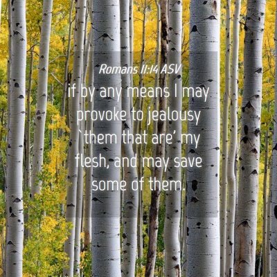 Picture 04 - Romans 11:14 ASV - if by any means I may provoke to jealousy `them - Bible Verse Picture