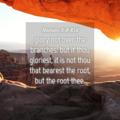 Picture 04 - Romans 11:18 ASV - glory not over the branches: but if thou - Bible Verse Picture