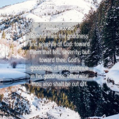 Picture 04 - Romans 11:22 ASV - Behold then the goodness and severity of God: - Bible Verse Picture