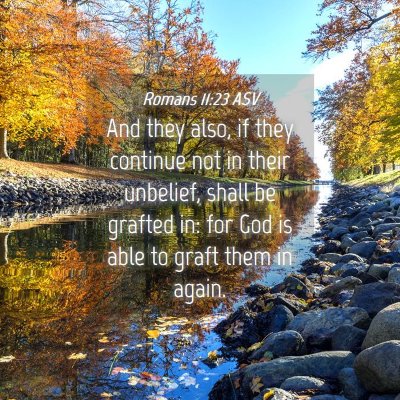 Picture 04 - Romans 11:23 ASV - And they also, if they continue not in their - Bible Verse Picture