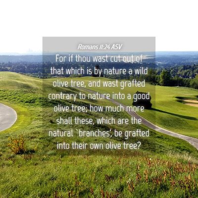 Picture 04 - Romans 11:24 ASV - For if thou wast cut out of that which is by - Bible Verse Picture