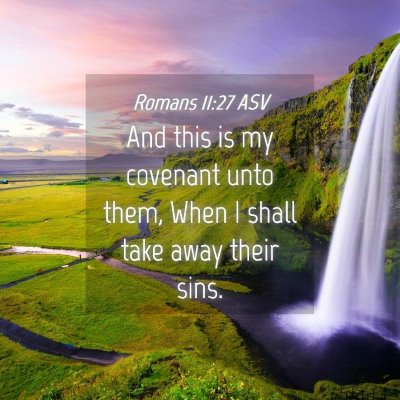 Picture 04 - Romans 11:27 ASV - And this is my covenant unto them, When I shall - Bible Verse Picture