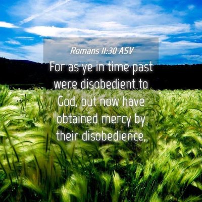 Picture 04 - Romans 11:30 ASV - For as ye in time past were disobedient to God, - Bible Verse Picture