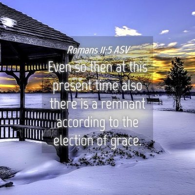 Picture 04 - Romans 11:5 ASV - Even so then at this present time also there is a - Bible Verse Picture