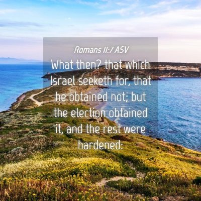 Picture 04 - Romans 11:7 ASV - What then? that which Israel seeketh for, that he - Bible Verse Picture