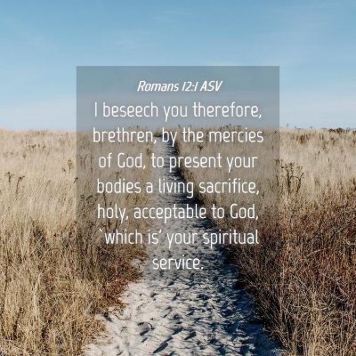 Picture 04 - Romans 12:1 ASV - I beseech you therefore, brethren, by the mercies - Bible Verse Picture