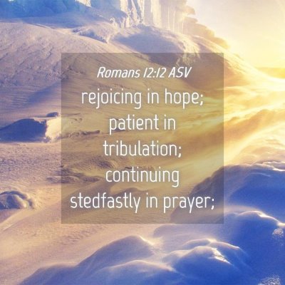 Picture 04 - Romans 12:12 ASV - rejoicing in hope; patient in tribulation; - Bible Verse Picture