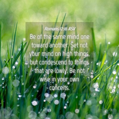 Picture 04 - Romans 12:16 ASV - Be of the same mind one toward another. Set not - Bible Verse Picture