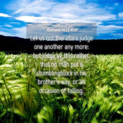 Picture 04 - Romans 14:13 ASV - Let us not therefore judge one another any more: - Bible Verse Picture