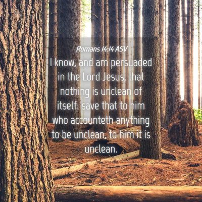 Picture 04 - Romans 14:14 ASV - I know, and am persuaded in the Lord Jesus, that - Bible Verse Picture