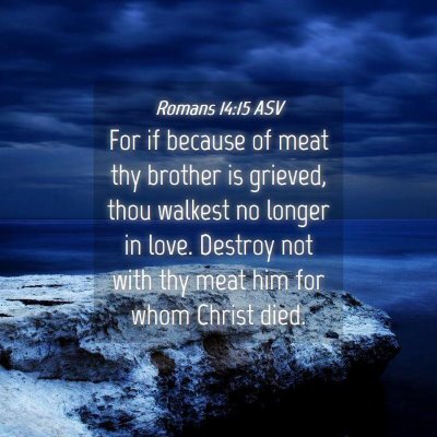 Picture 04 - Romans 14:15 ASV - For if because of meat thy brother is grieved, - Bible Verse Picture