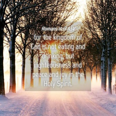 Picture 04 - Romans 14:17 ASV - for the kingdom of God is not eating and - Bible Verse Picture