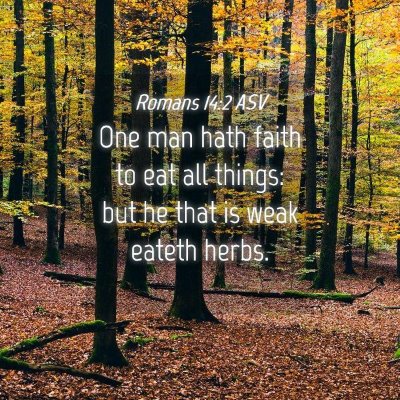 Picture 04 - Romans 14:2 ASV - One man hath faith to eat all things: but he that - Bible Verse Picture