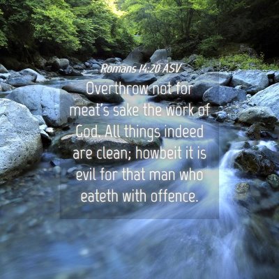 Picture 04 - Romans 14:20 ASV - Overthrow not for meat's sake the work of God. - Bible Verse Picture