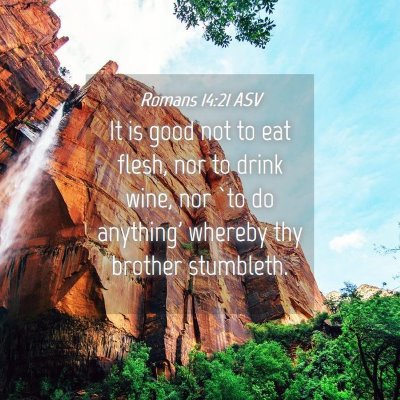 Picture 04 - Romans 14:21 ASV - It is good not to eat flesh, nor to drink wine, - Bible Verse Picture