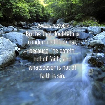 Picture 04 - Romans 14:23 ASV - But he that doubteth is condemned if he eat, - Bible Verse Picture
