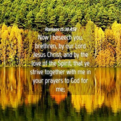 Picture 04 - Romans 15:30 ASV - Now I beseech you, brethren, by our Lord Jesus - Bible Verse Picture