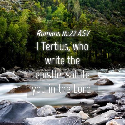 Picture 04 - Romans 16:22 ASV - I Tertius, who write the epistle, salute you in - Bible Verse Picture