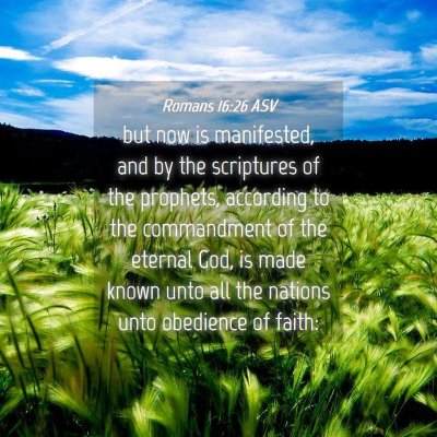 Picture 04 - Romans 16:26 ASV - but now is manifested, and by the scriptures of - Bible Verse Picture