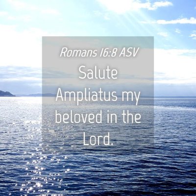 Picture 04 - Romans 16:8 ASV - Salute Ampliatus my beloved in the - Bible Verse Picture