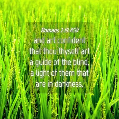 Picture 04 - Romans 2:19 ASV - and art confident that thou thyself art a guide - Bible Verse Picture