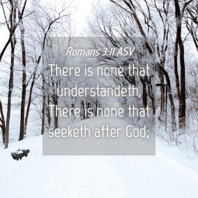 Picture 04 - Romans 3:11 ASV - There is none that understandeth, There is none - Bible Verse Picture