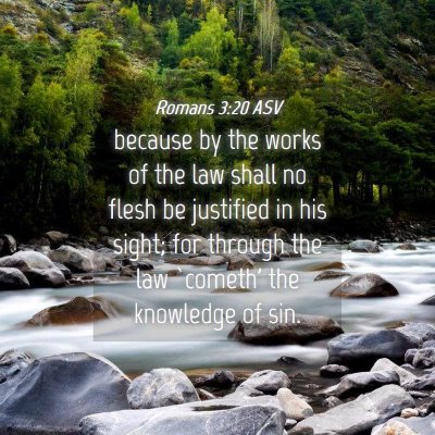 Picture 04 - Romans 3:20 ASV - because by the works of the law shall no flesh be - Bible Verse Picture