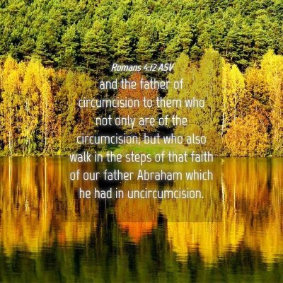 Picture 04 - Romans 4:12 ASV - and the father of circumcision to them who not - Bible Verse Picture