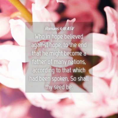 Picture 04 - Romans 4:18 ASV - Who in hope believed against hope, to the end - Bible Verse Picture