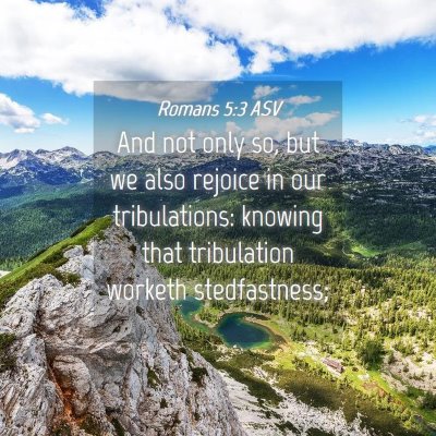 Picture 04 - Romans 5:3 ASV - And not only so, but we also rejoice in our - Bible Verse Picture