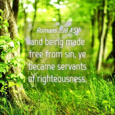 Picture 04 - Romans 6:18 ASV - and being made free from sin, ye became servants - Bible Verse Picture