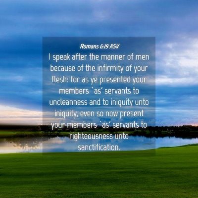 Picture 04 - Romans 6:19 ASV - I speak after the manner of men because of the - Bible Verse Picture