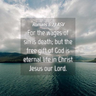 Picture 04 - Romans 6:23 ASV - For the wages of sin is death; but the free gift - Bible Verse Picture