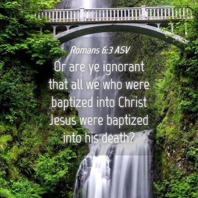 Picture 04 - Romans 6:3 ASV - Or are ye ignorant that all we who were baptized - Bible Verse Picture
