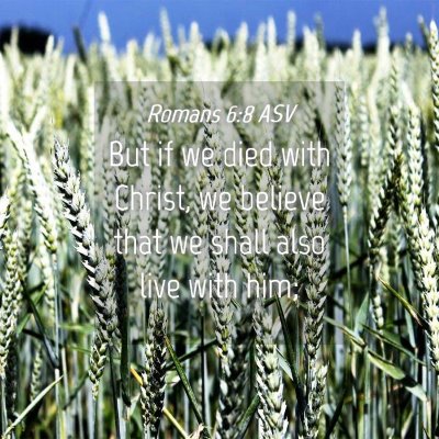 Picture 04 - Romans 6:8 ASV - But if we died with Christ, we believe that we - Bible Verse Picture