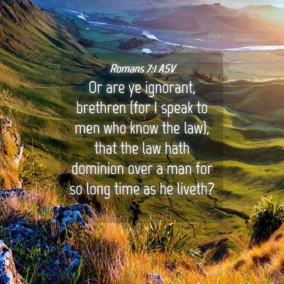 Picture 04 - Romans 7:1 ASV - Or are ye ignorant, brethren (for I speak to men - Bible Verse Picture