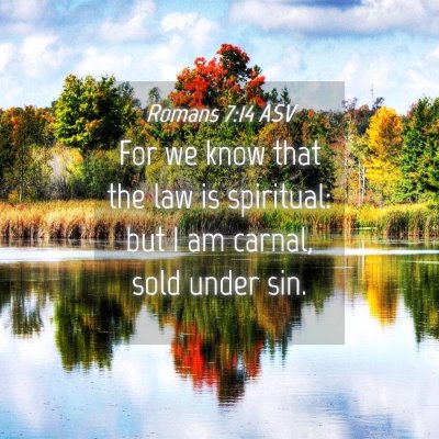 Picture 04 - Romans 7:14 ASV - For we know that the law is spiritual: but I am - Bible Verse Picture