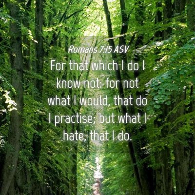 Picture 04 - Romans 7:15 ASV - For that which I do I know not: for not what I - Bible Verse Picture
