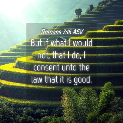 Picture 04 - Romans 7:16 ASV - But if what I would not, that I do, I consent - Bible Verse Picture