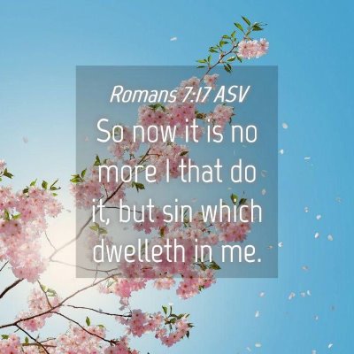 Picture 04 - Romans 7:17 ASV - So now it is no more I that do it, but sin which - Bible Verse Picture