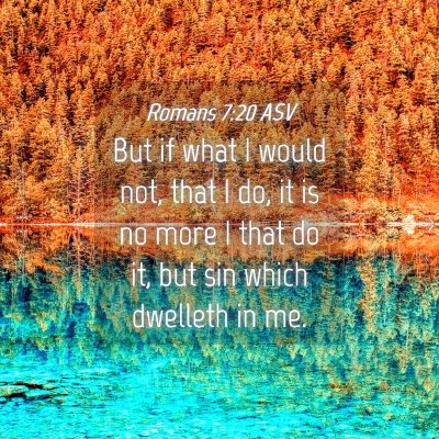 Picture 04 - Romans 7:20 ASV - But if what I would not, that I do, it is no more - Bible Verse Picture