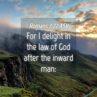 Picture 04 - Romans 7:22 ASV - For I delight in the law of God after the inward - Bible Verse Picture